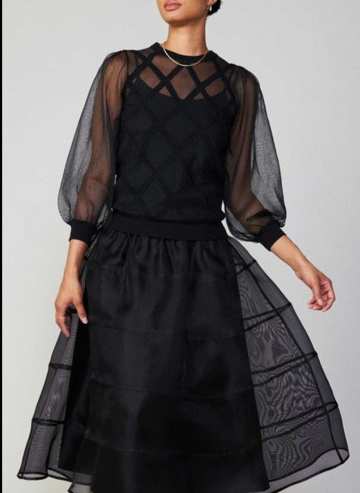 Sheer Puffy Skirt With Lining (2 Color Ways)