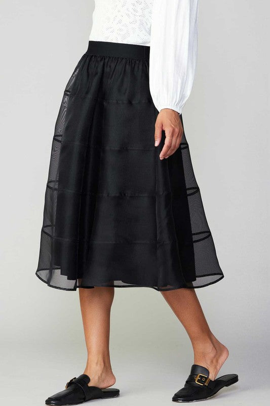 Sheer Puffy Skirt With Lining (2 Color Ways)